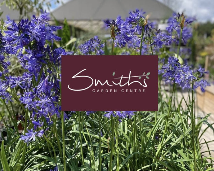 Have you got a Smith's Loyalty Card?