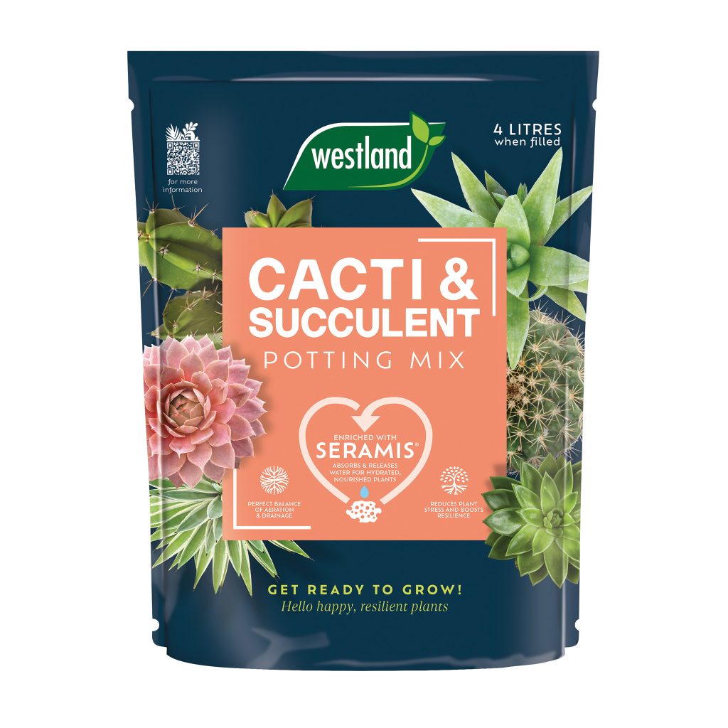 Westland cacti and terrarium potting mix 4L