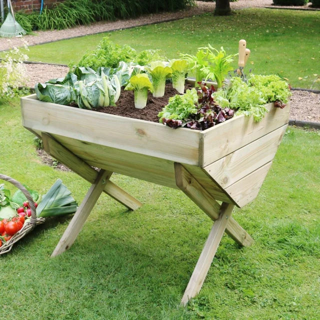 Zest 1m vegetable bed