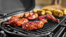 Load image into Gallery viewer, Traveler Compact Gas Barbecue