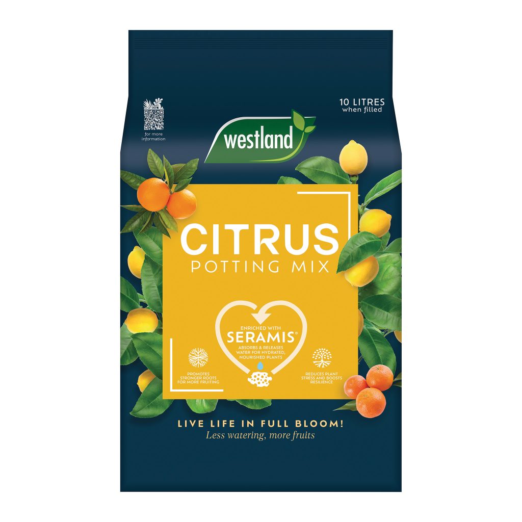 Westland citrus potting mix 10L