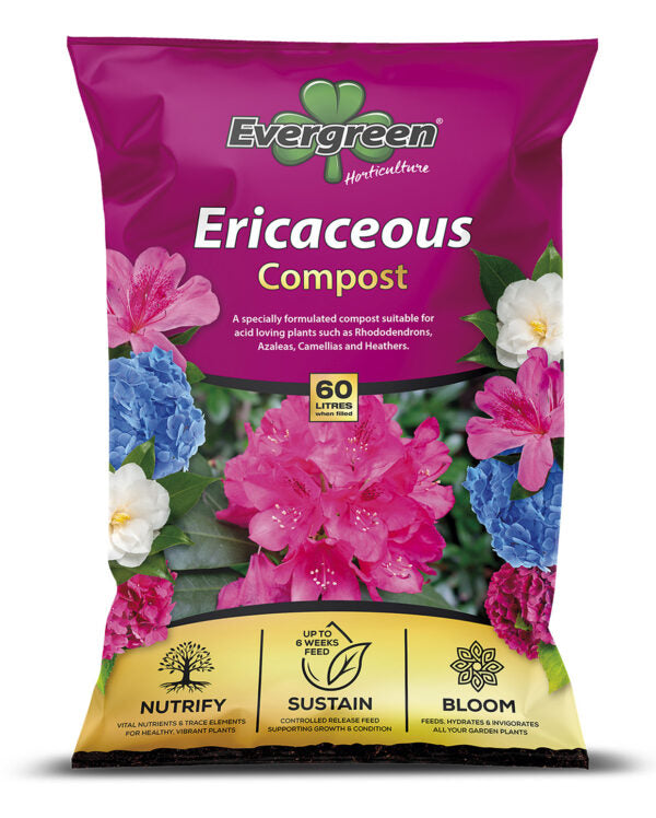 Evergreen ericaceous compost 60L