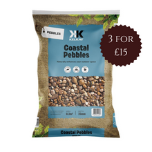 Load image into Gallery viewer, Coastal Pebbles