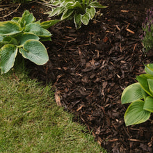 Load image into Gallery viewer, Landscape Bark