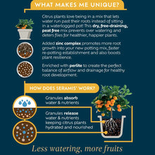 Load image into Gallery viewer, Westland Citrus Potting Mix 🍋🟩