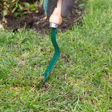 Load image into Gallery viewer, Carbon Steel Weed Grubber