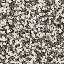 Load image into Gallery viewer, Nordic Frost