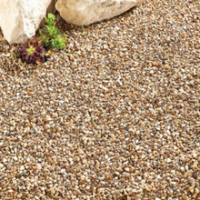 Load image into Gallery viewer, Yorkshire Cream