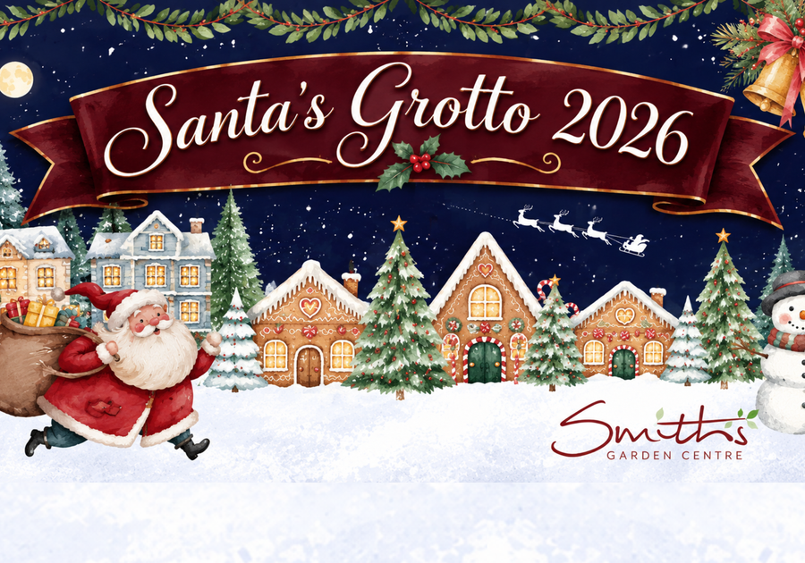 Santa's Grotto 2026