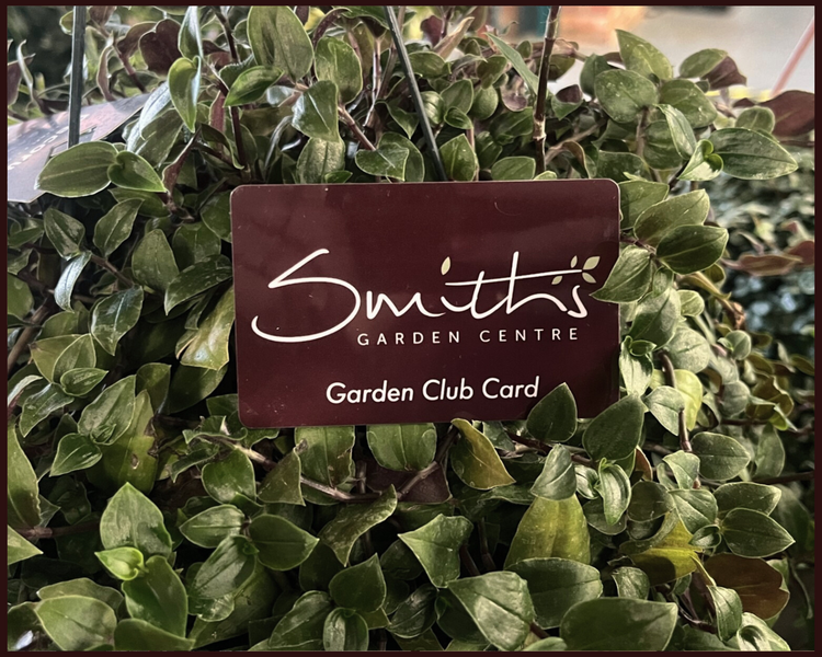 Important Notice to all Smith's Loyalty Card Members