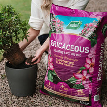 Load image into Gallery viewer, Westland Ericaceous Compost - Reduced Peat
