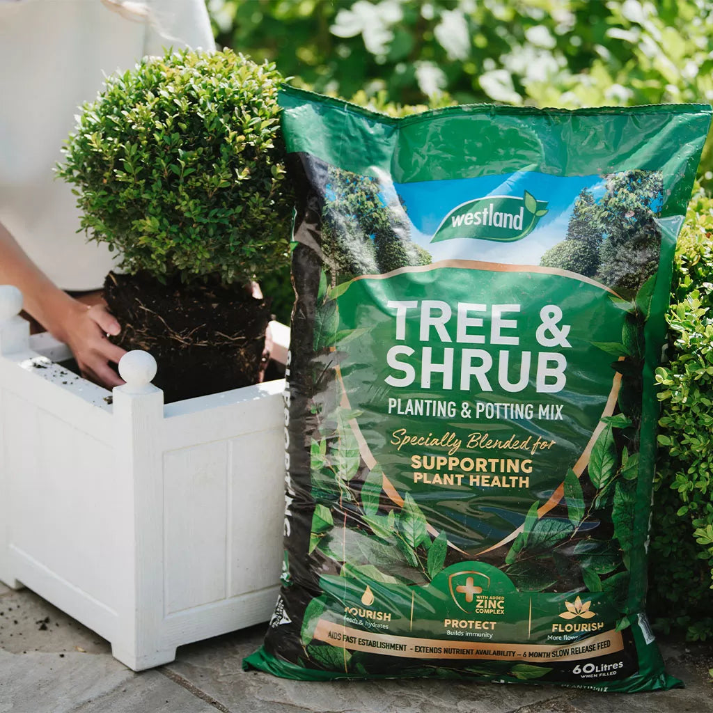 Tree & Shrub Compost