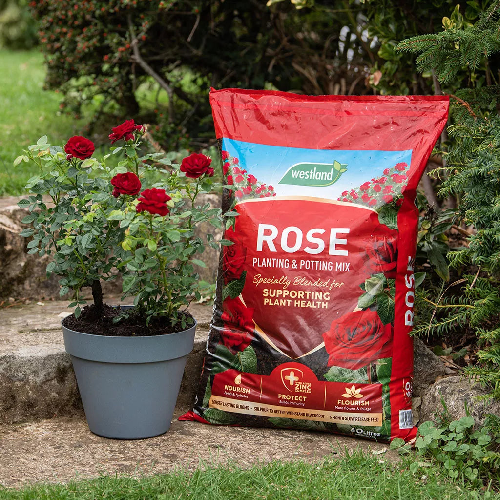Rose Planting & Potting Mix