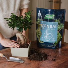 Load image into Gallery viewer, Westland Bonsai Potting Mix 🪴
