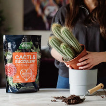 Load image into Gallery viewer, Cacti &amp; Succulent Potting Mix 🌵
