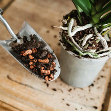 Load image into Gallery viewer, Westland Orchid Potting Mix
