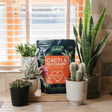 Load image into Gallery viewer, Cacti &amp; Terrarium Potting Mix 4L
