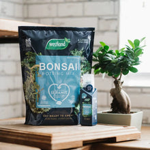 Load image into Gallery viewer, Westland Bonsai Potting Mix 🪴

