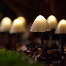 Load image into Gallery viewer, Forest Solar Mushroom Lights Set Of 12 🍄‍🟫
