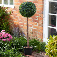 Load image into Gallery viewer, Uno Topiary Tree 120 cm
