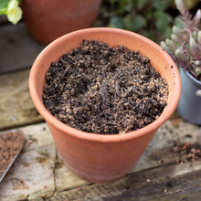 Load image into Gallery viewer, Horticultural Grit Sand
