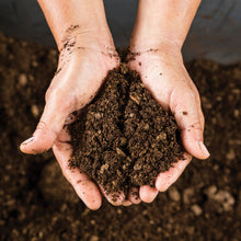 Load image into Gallery viewer, Horticultural Grit Sand
