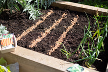 Load image into Gallery viewer, Horticultural Silver Sand
