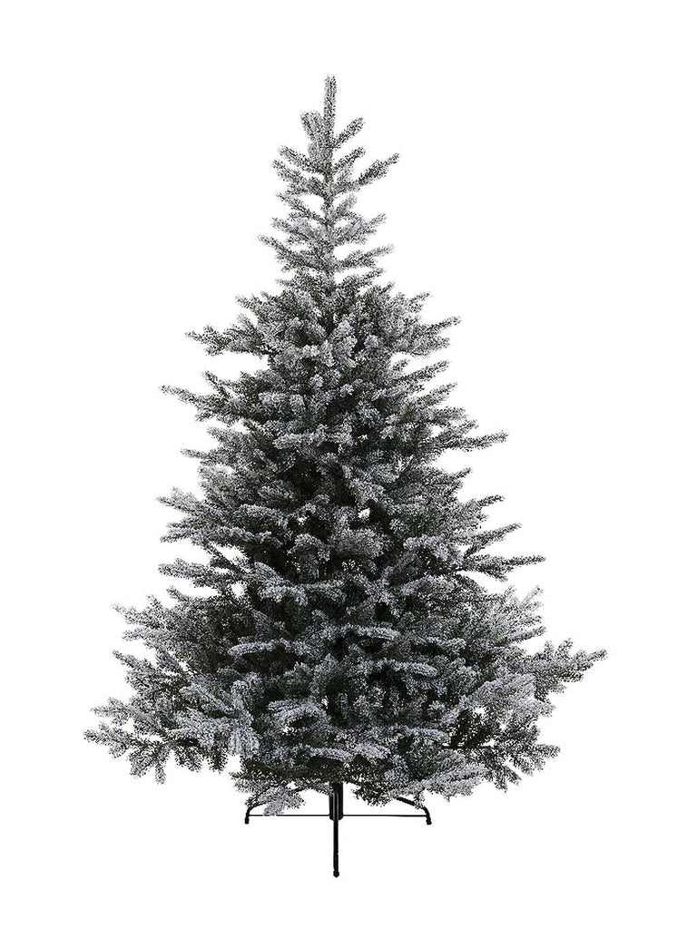 Snowy Grandis Fir Christmas Tree