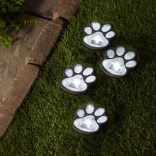 Load image into Gallery viewer, Pet Paws 4-pk
