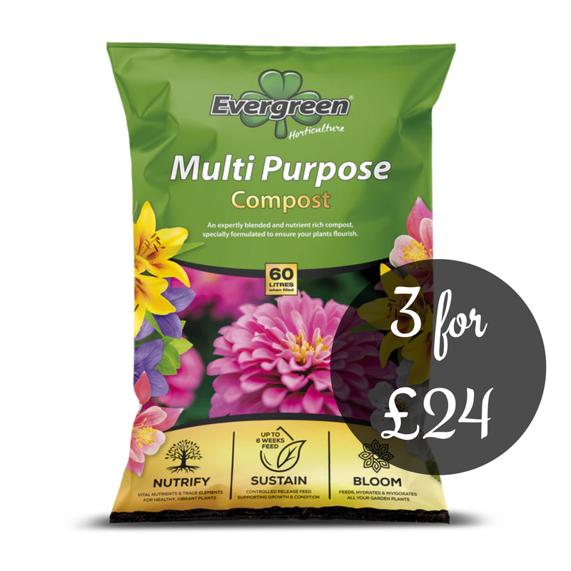 Evergreen Multi-Purpose Compost 75L bag