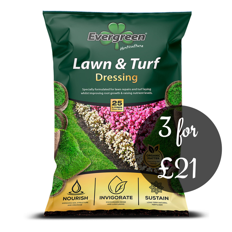 Evergreen Lawn & Turf Dressing 25L bag