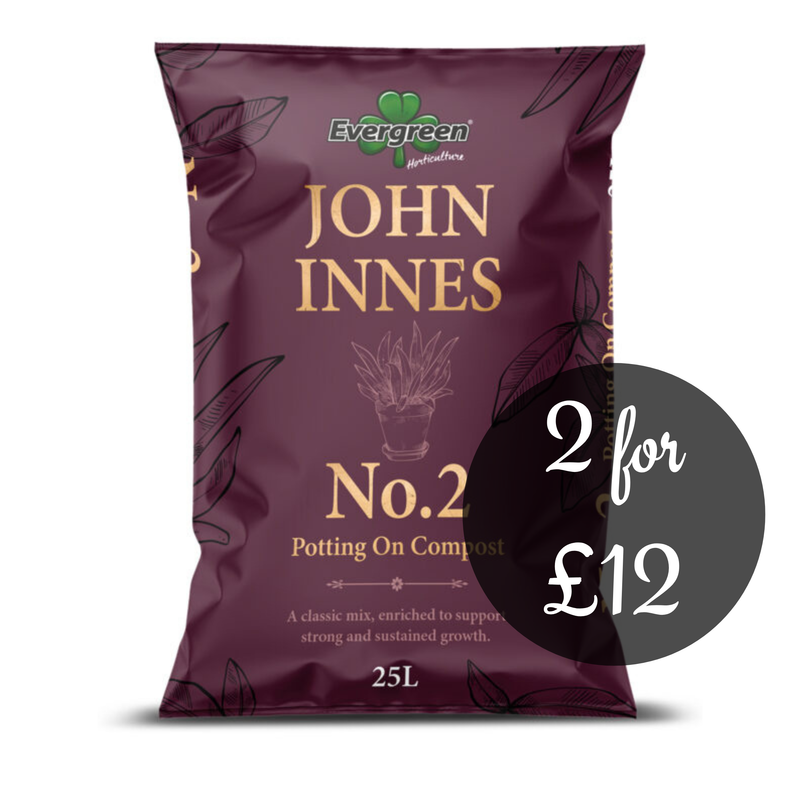 Evergreen John Innes No.2 compost 25L
