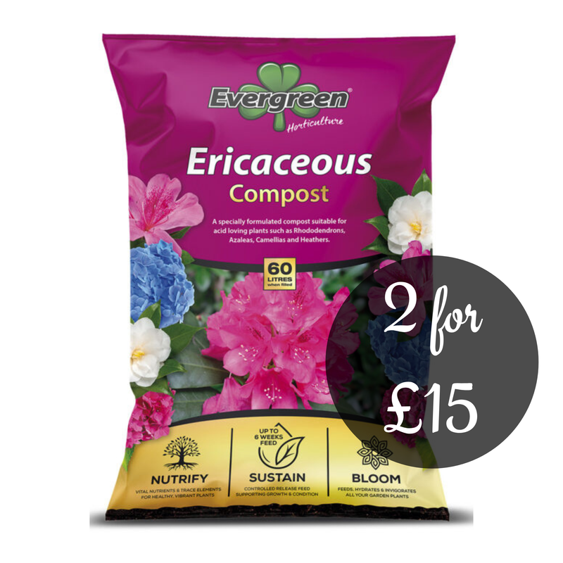 Evergreen ericaceous compost 60L
