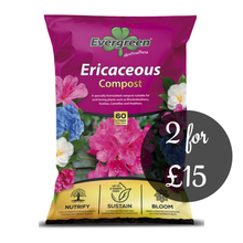 Load image into Gallery viewer, Ericaceous Compost 60L
