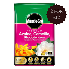 Load image into Gallery viewer, Miracle-Gro Premium Azalea, Camellia &amp; Rhododendron Ericaceous Compost
