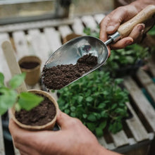 Load image into Gallery viewer, John Innes Peat Free No.2 Potting-on Compost
