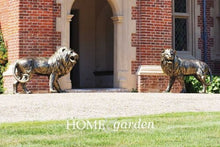 Load image into Gallery viewer, Lion Standing - Looking Right
