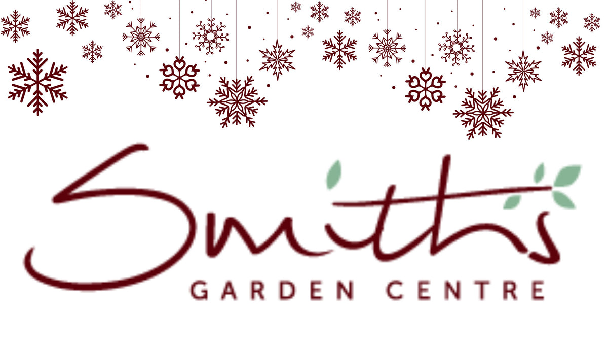 Santa's Grotto 2024 Smiths Garden Centre