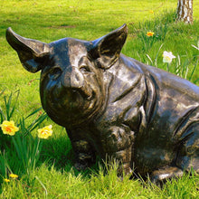 Load image into Gallery viewer, Pig Sitting

