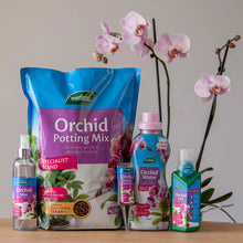 Load image into Gallery viewer, Westland Orchid Potting Mix
