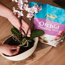 Load image into Gallery viewer, Westland Orchid Potting Mix
