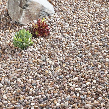 Load image into Gallery viewer, Quartzite Pea Gravel
