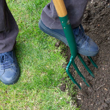 Load image into Gallery viewer, Carbon Steel Digging Fork
