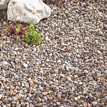 Load image into Gallery viewer, Quartzite Pea Gravel 20mm

