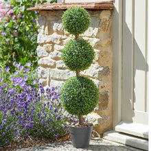 Load image into Gallery viewer, Trio Topiary Tree
