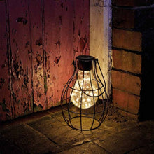Load image into Gallery viewer, Firefly Lantern 🪰
