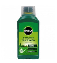 Load image into Gallery viewer, EverGreen Fast Green Liquid Concentrate
