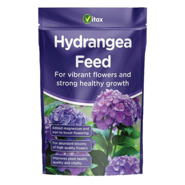 Hydrangea Feed
