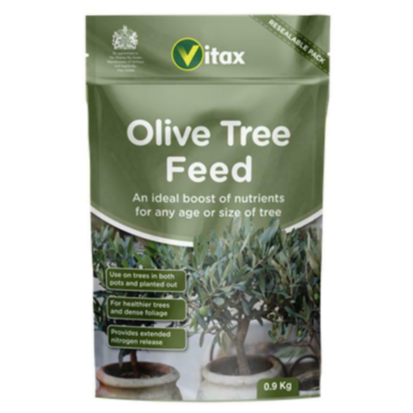 Olive Tree Feed