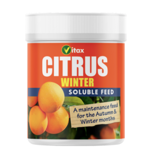 Citrus Feed - Winter